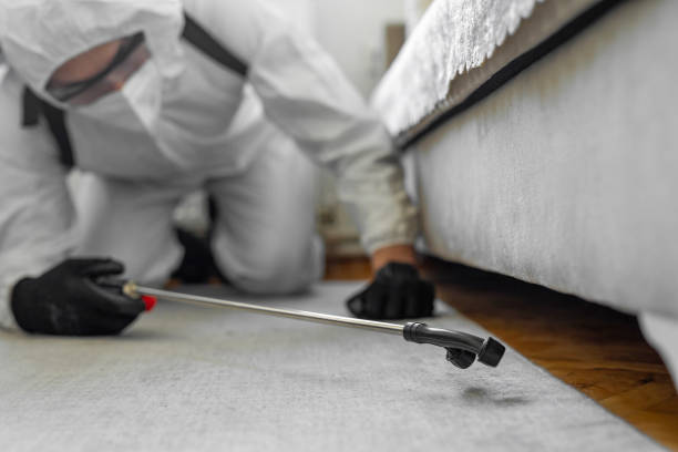 Professional Ant Control technician working in Malta, IL